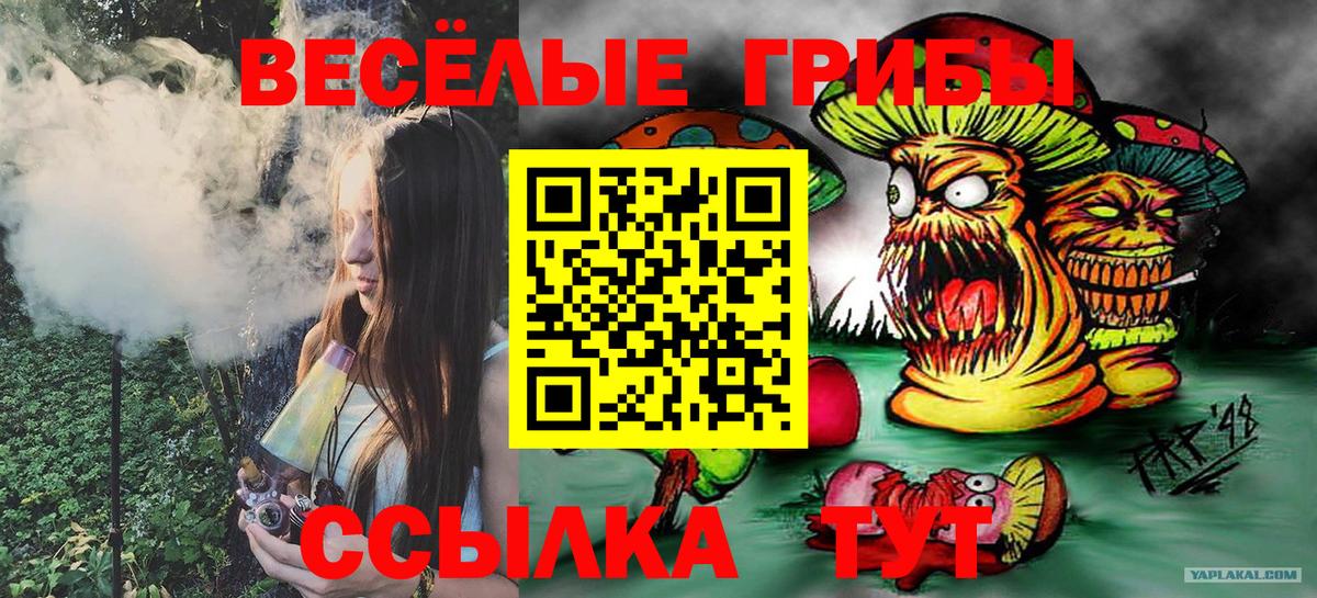 Галлюциногенные грибы Psilocybe  Вход с VPN  Бийск 