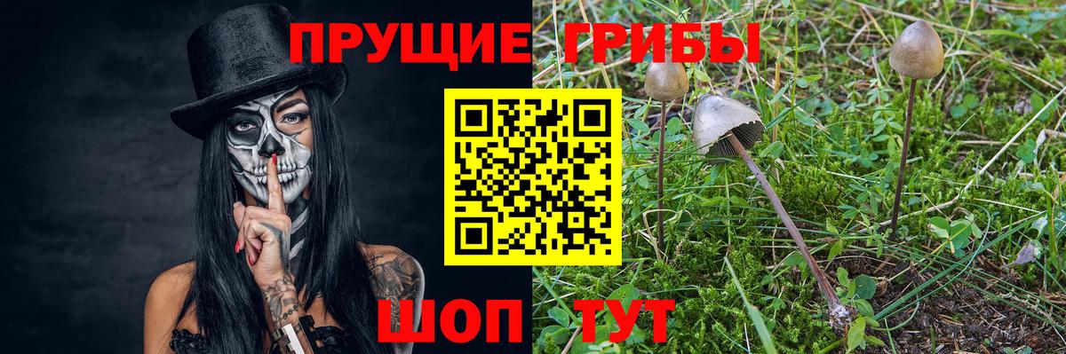 Псилоцибиновые грибы прущие грибы Бийск